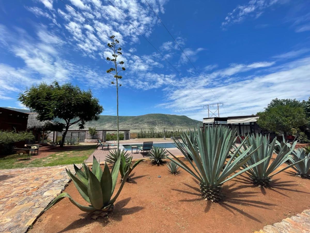 Casa Regina Oaxaca Villa San Pablo Villa de Mitla Ngoại thất bức ảnh
