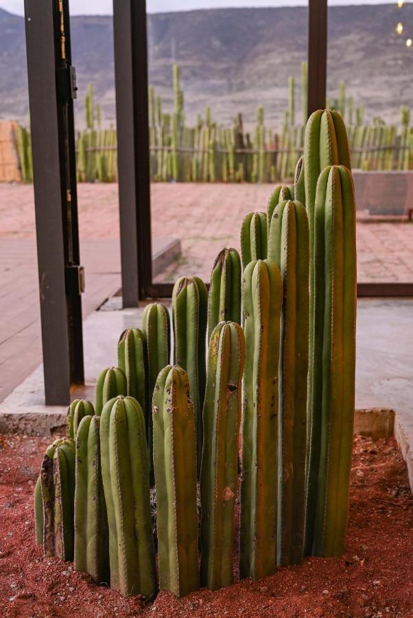 Casa Regina Oaxaca Villa San Pablo Villa de Mitla Ngoại thất bức ảnh