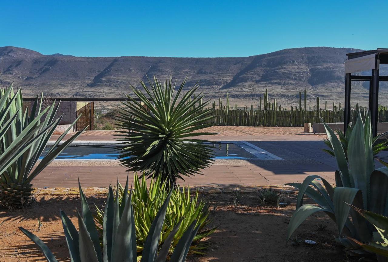 Casa Regina Oaxaca Villa San Pablo Villa de Mitla Ngoại thất bức ảnh