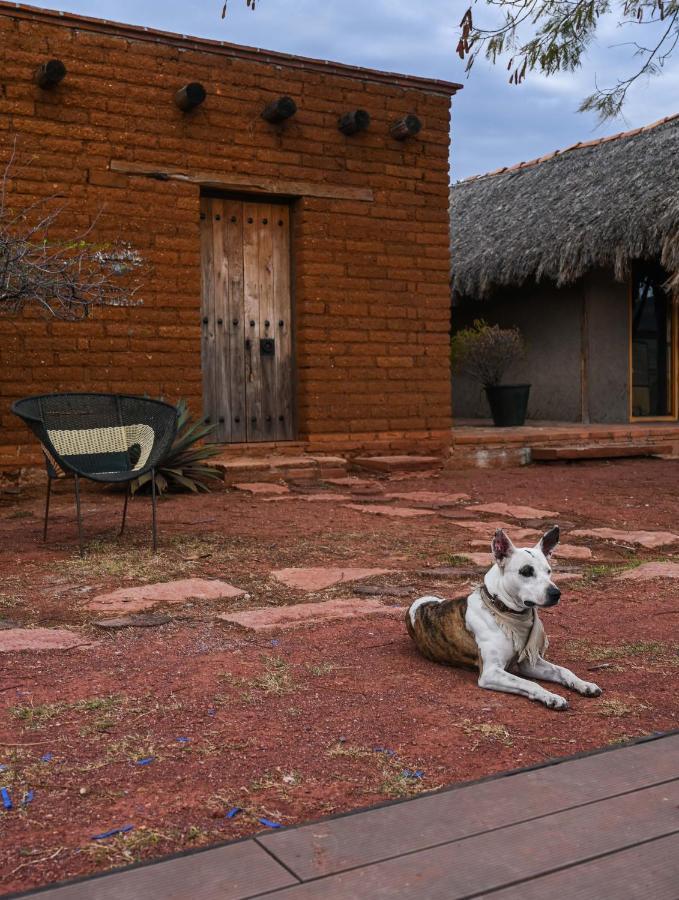 Casa Regina Oaxaca Villa San Pablo Villa de Mitla Ngoại thất bức ảnh