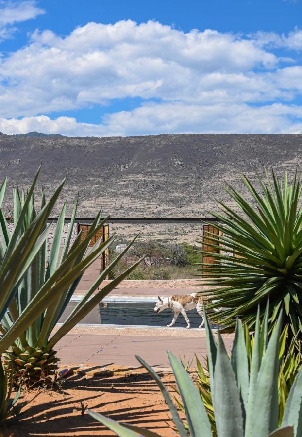 Casa Regina Oaxaca Villa San Pablo Villa de Mitla Ngoại thất bức ảnh